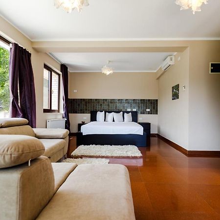 Rex Infinity View 4* Cazanele Dunarii 두보바 외부 사진